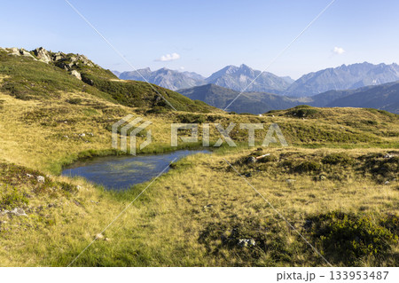 View of wetland area in Verwall conservation area near Grasjoch mountain station in Montafon region, Austria during clear sunny day 133953487