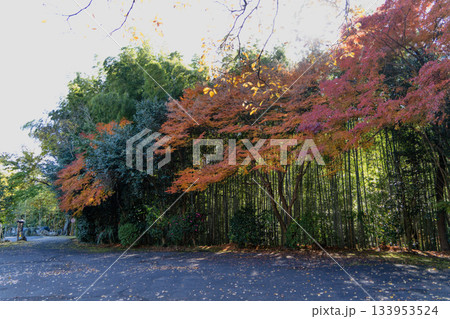 秋の虎渓山の自然の風景 133953524