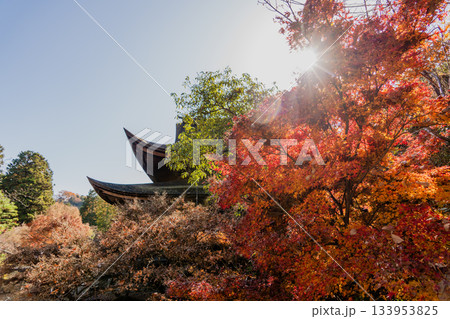 秋の虎渓山永保寺境内の景色 秋の虎渓山永保寺境内の景色 133953825