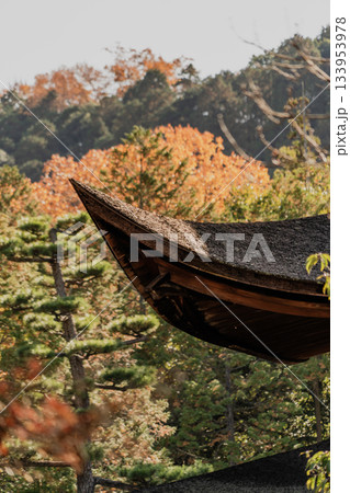 秋の虎渓山永保寺境内の風景 秋の虎渓山永保寺境内の風景 133953978