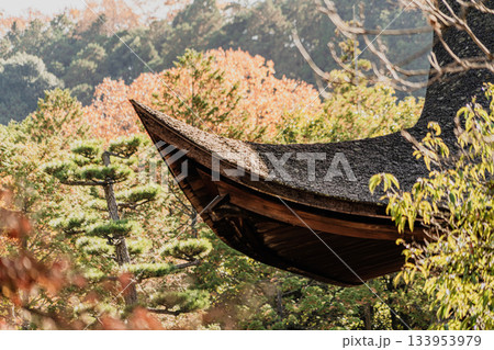 秋の虎渓山永保寺境内の風景 秋の虎渓山永保寺境内の風景 133953979