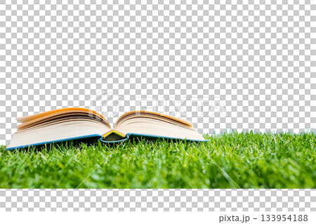 An open book resting on lush green grass. 133954188