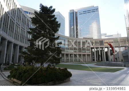 東京都庁 東京都庁 133954981