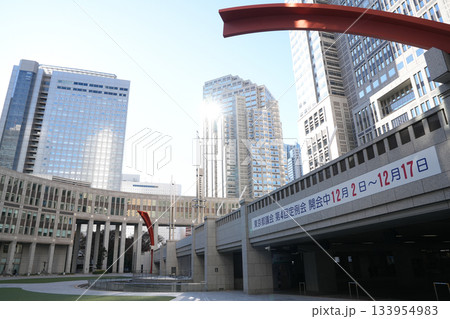 東京都庁 133954983