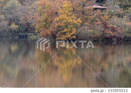 湖畔を染める黄葉と水面の反射 133955013