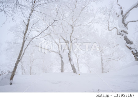 大雪山の斜面 大雪山の斜面 133955167