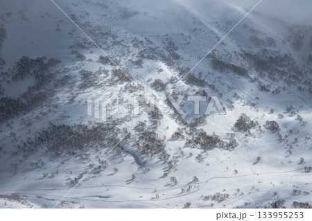 ニセコバックカントリー 133955253