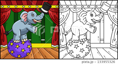 Circus Elephant Coloring Page Colored Illustration Circus Elephant Coloring Page Colored Illustration 133955326