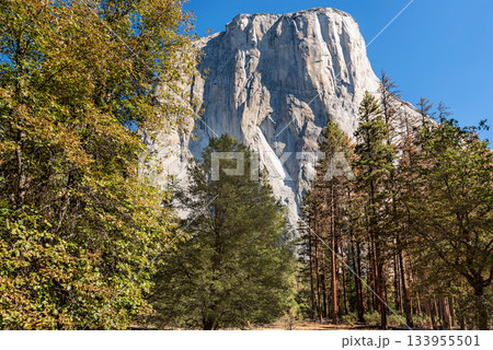 El Capitan rock in Yosemite National Park, California, USA. El Capitan rock in Yosemite National Park, California, USA. 133955501