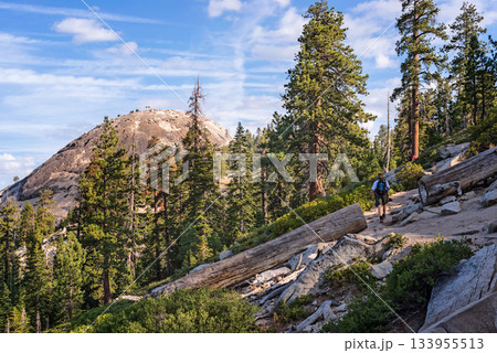 Sentinel Dome in Yosemite National Park i California, USA 133955513