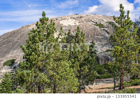 Sentinel Dome in Yosemite National Park i California, USA 133955541