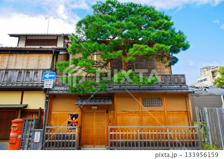 京都　祇園　花見小路　町並み 133956159