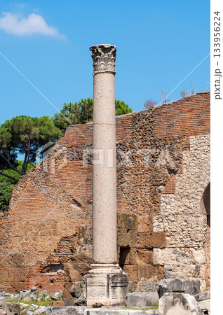 Column in Roman Forum in Rome, Italy. 133956224