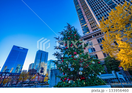 【東京都】丸の内・行幸通り　クリスマスの装い　早朝 133956460