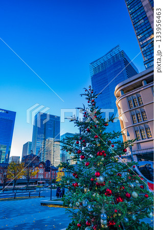 【東京都】丸の内・行幸通り　クリスマスの装い　早朝 133956463