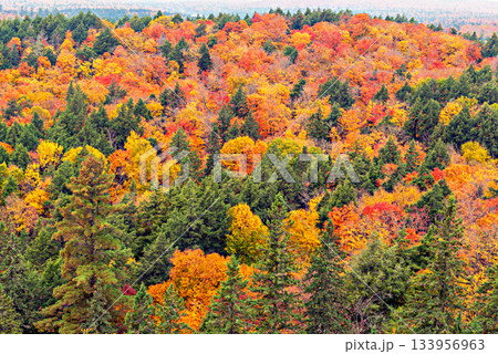 Fall colors Algonquin Park, Ontario, Canada. Fall colors Algonquin Park, Ontario, Canada. 133956963