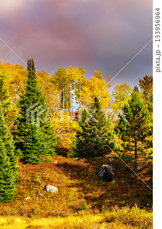 Fall colors Algonquin Park, Ontario, Canada. Fall colors Algonquin Park, Ontario, Canada. 133956964