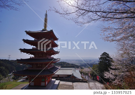基山町 本福寺 桜満開の五重塔 基山町 本福寺 桜満開の五重塔 133957025