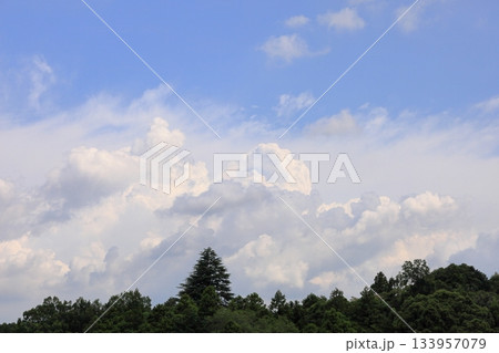 夏の空 夏の空 133957079