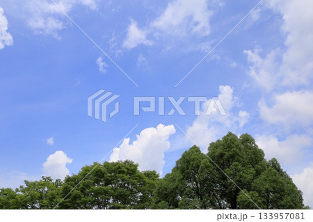 爽やか　夏の白雲 133957081