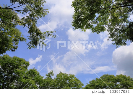 爽やか 夏の空 爽やか 夏の空 133957082