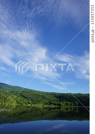 初夏のバラギ湖の湖畔@群馬県嬬恋村バラギ高原③ 初夏のバラギ湖の湖畔@群馬県嬬恋村バラギ高原③ 133957355