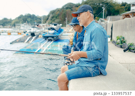 海辺で釣りを楽しむシニア夫婦の後ろ姿 133957537