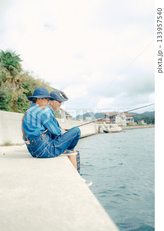 海辺で釣りを楽しむシニア夫婦の後ろ姿 133957540