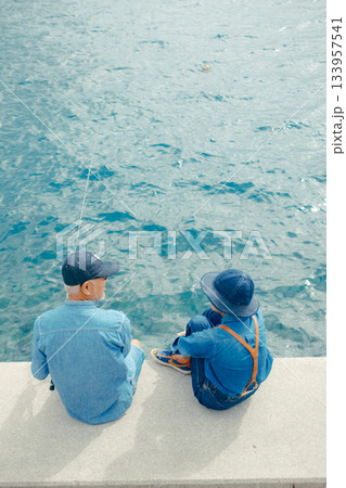 海辺で釣りを楽しむシニア夫婦の後ろ姿 海辺で釣りを楽しむシニア夫婦の後ろ姿 133957541