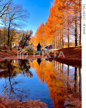 トーベ・ヤンソンあけぼの子どもの森公園 133957561