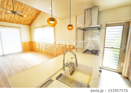 ペット同居型デザイナーズ住宅のお洒落なリビング ペット同居型デザイナーズ住宅のお洒落なリビング 133957578