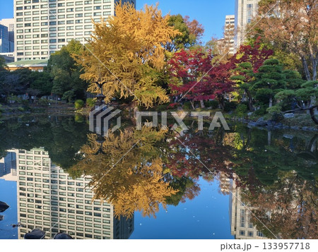 日比谷公園の紅葉 133957718