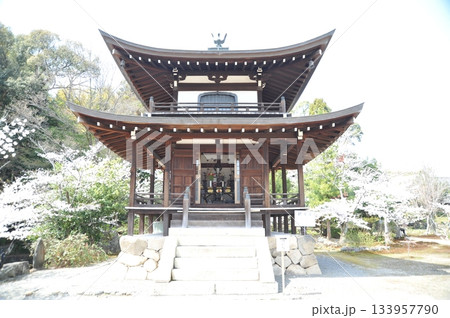 勧修寺2025年 133957790
