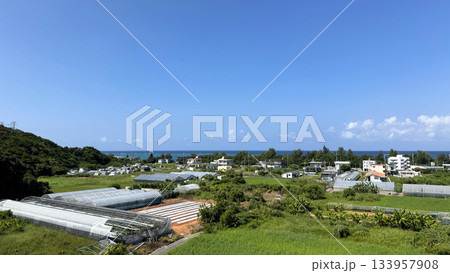 沖縄　恩納村　谷茶周辺の風景 133957908