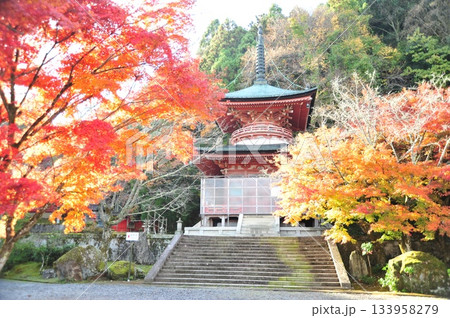 法輪寺2025年① 法輪寺2025年① 133958279