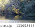 秋の紅葉と静かな湖面 133958448