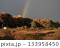 紅葉と雨上がりの虹 133958450