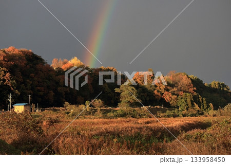紅葉と雨上がりの虹 133958450