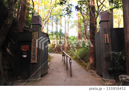 大河内山荘2025年① 133958452