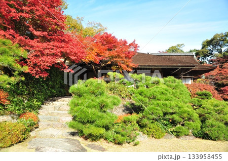 大河内山荘2025年④ 133958455