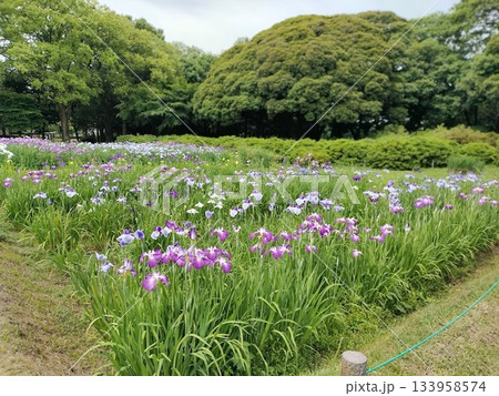 北関東の季節 133958574