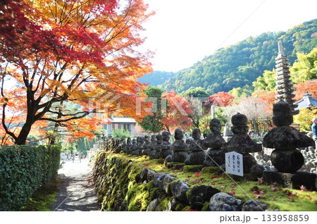 化野念仏寺2025年① 133958859