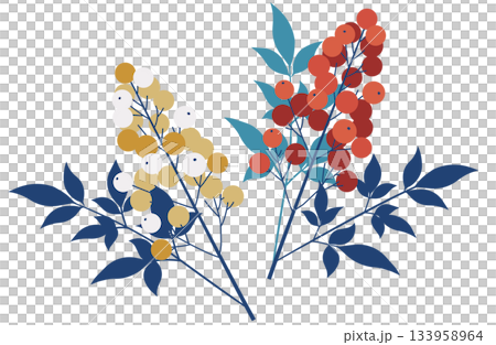 紅白のモダンな南天セット 紅白のモダンな南天セット 133958964