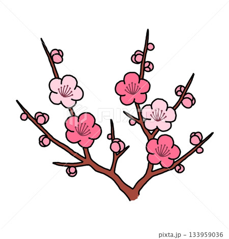 シンプルな梅の花の枝 シンプルな梅の花の枝 133959036