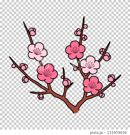 シンプルな梅の花の枝 シンプルな梅の花の枝 133959036