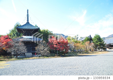 清凉寺2025年② 清凉寺2025年② 133959334