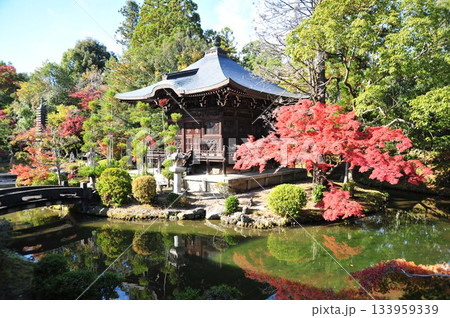 清凉寺庭園2025年④ 清凉寺庭園2025年④ 133959339