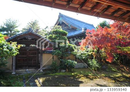 清凉寺庭園2025年⑤ 清凉寺庭園2025年⑤ 133959340