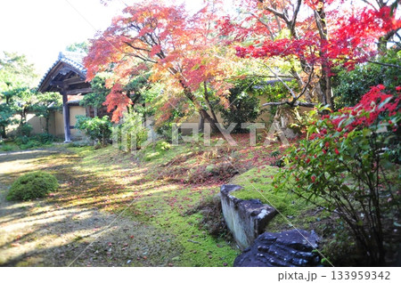 清凉寺庭園2025年⑥ 清凉寺庭園2025年⑥ 133959342