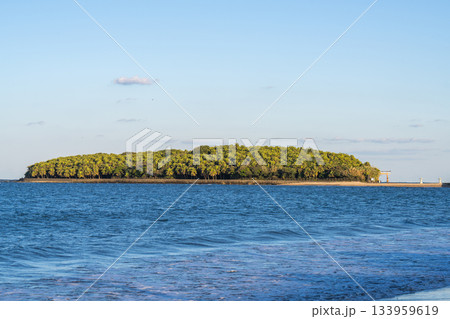 夕方の青島神社 133959619